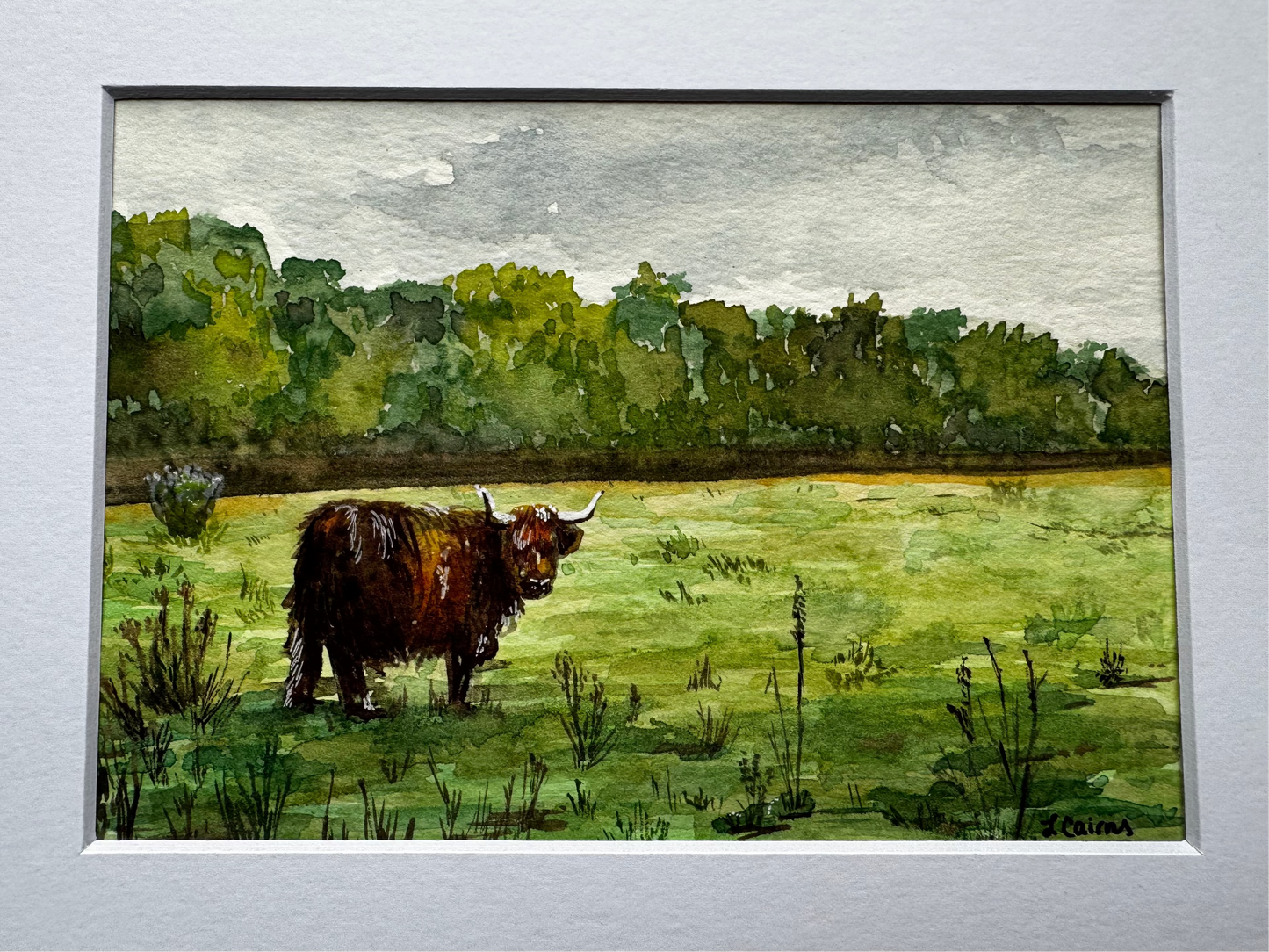 Matted watercolor painting of a highland cow in a lush green field in Nairn, Scotland.