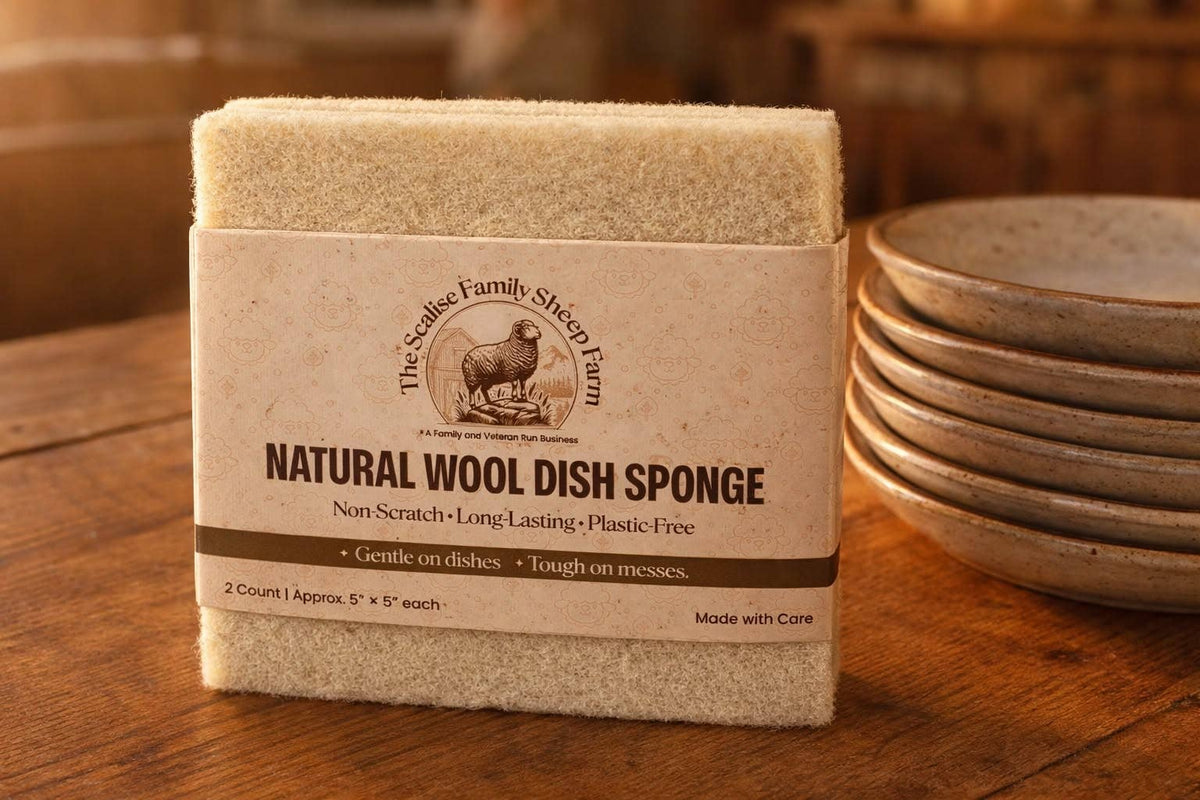 Wool Dish Sponge (Set of 2)
