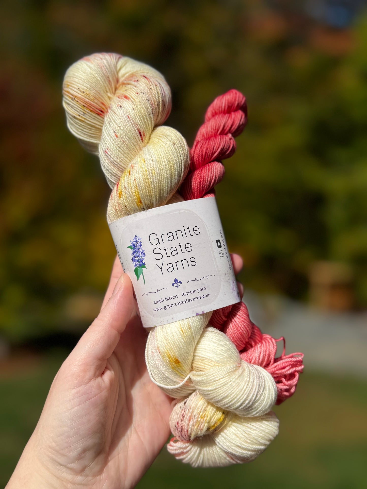 Hot Fudge Sundae Sock Set