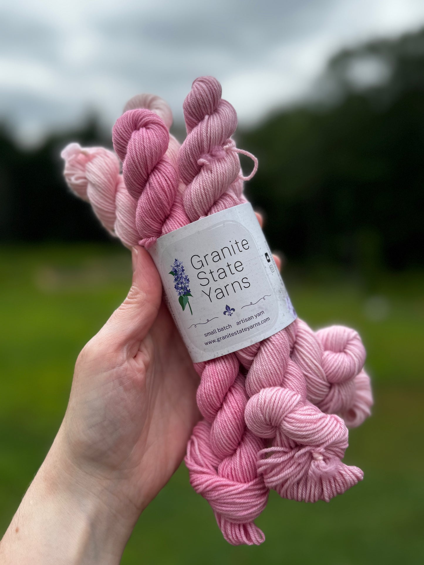 Bubblegum - Miniskein Set