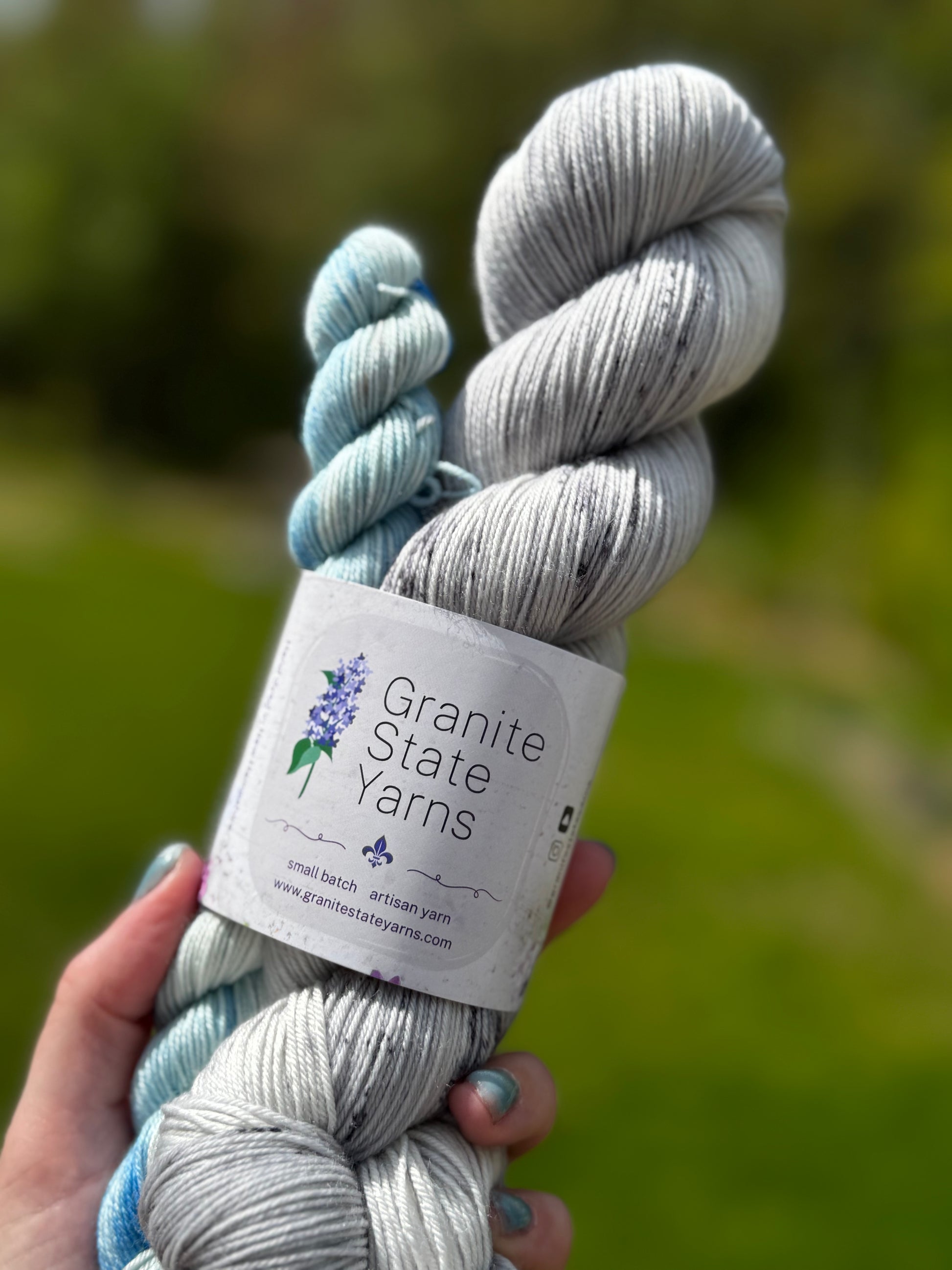 Earthrise Sock Set - Granite State Yarns