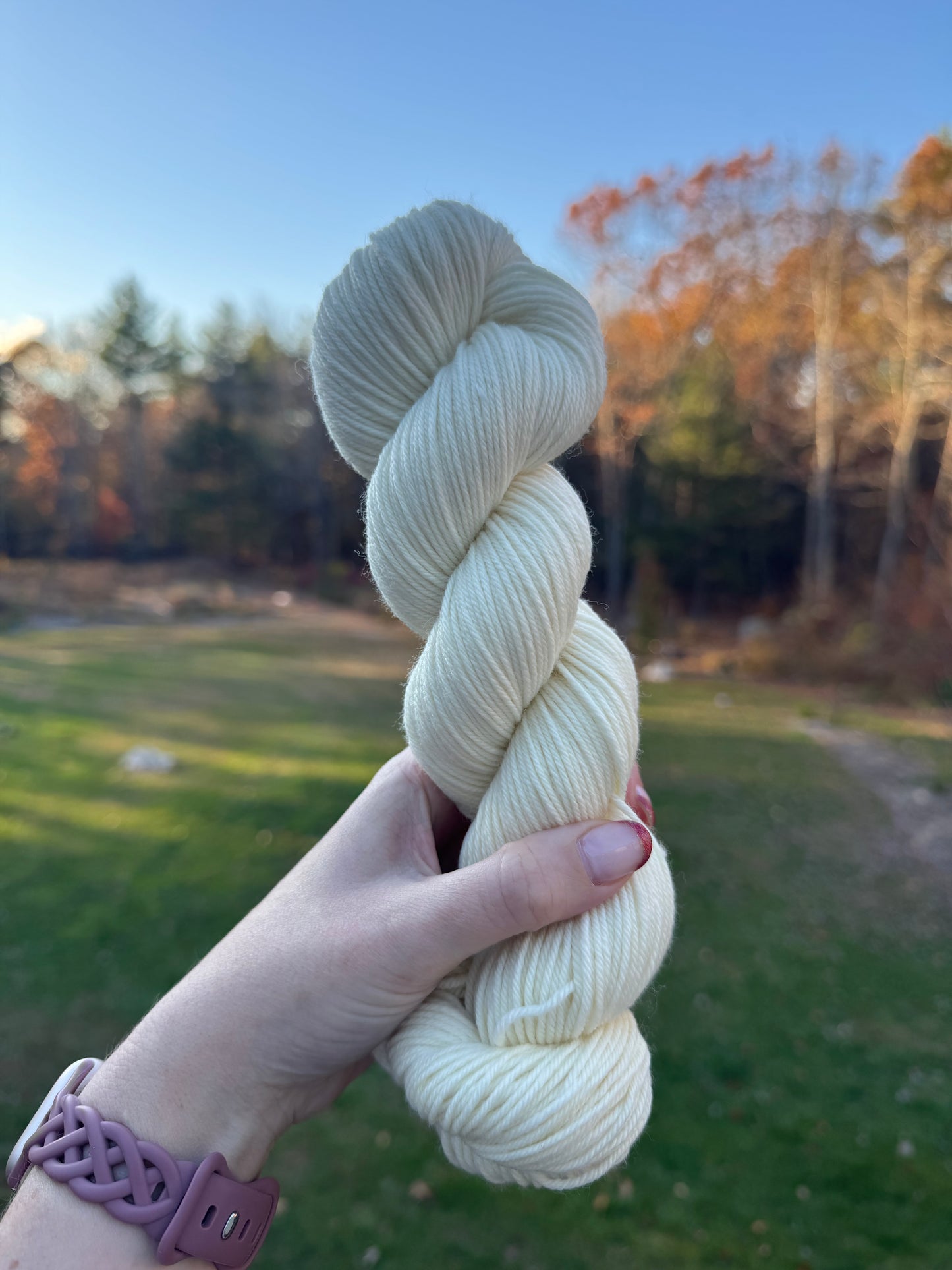 Bare Sock Yarn