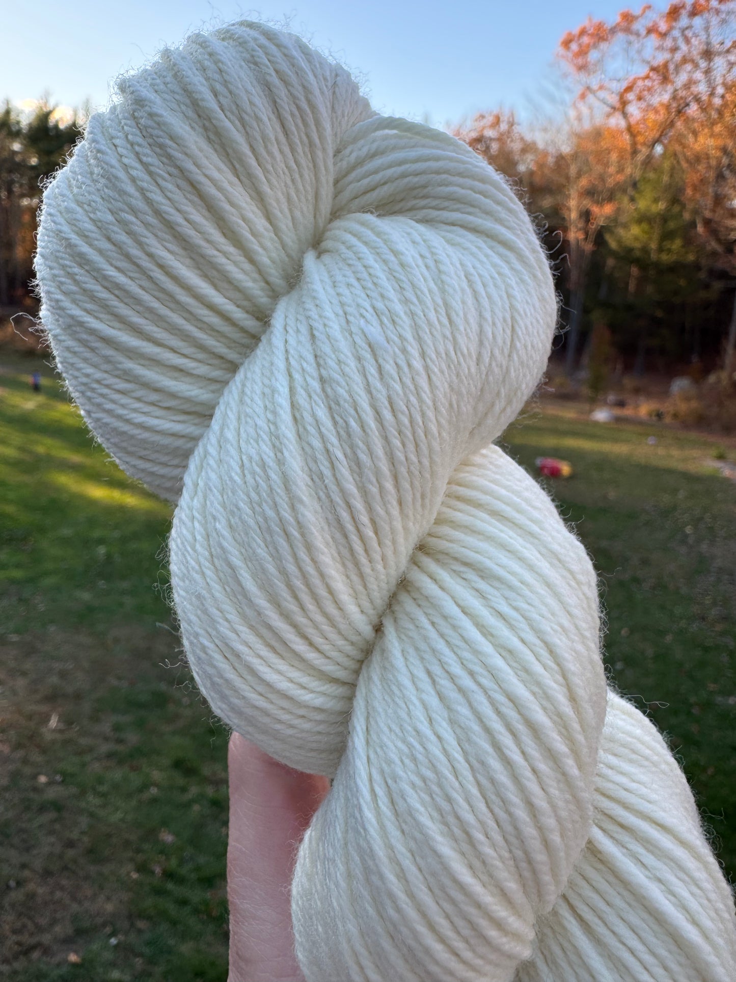 Bare Sock Yarn