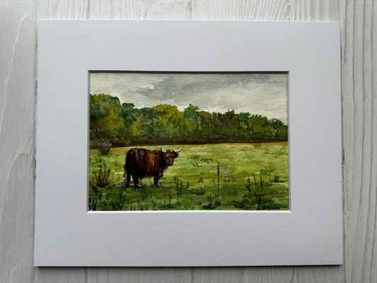 Matted artwork of a lush green landscape with a highland cow/coo on a grassy field in Nairn, Scotland.