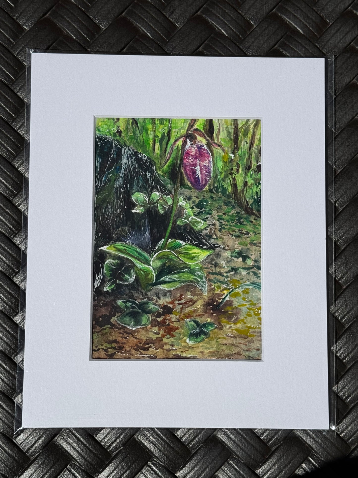 "Homestead Lady Slipper" Original Watercolor Painting