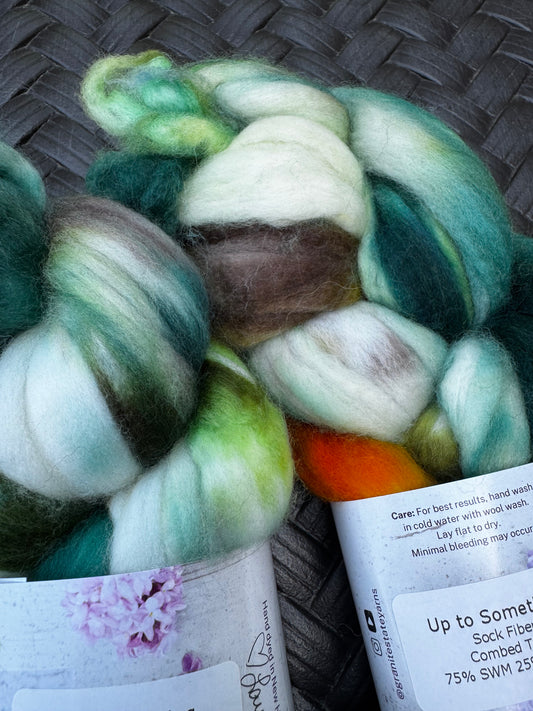 Up to Something Sock Blend ROVING