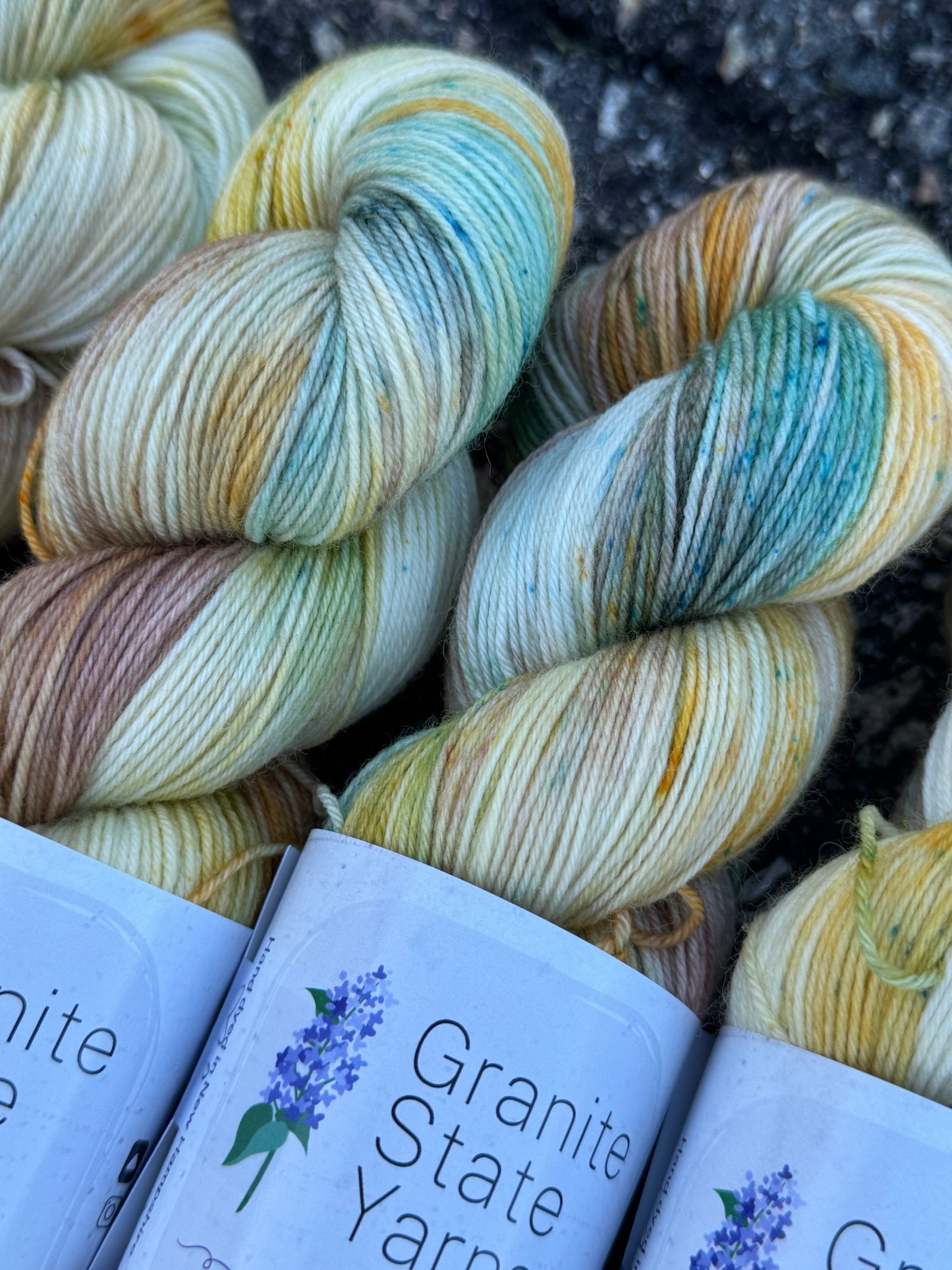 I Wish I Was at Rhinebeck Sock Yarn